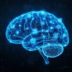 How to Build a Second Brain in Notion